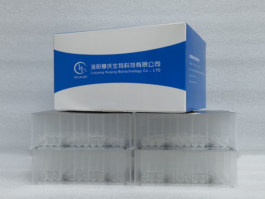 動物組織中核酸的提取有哪些應用？提取注意事項有哪些？